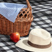 Picture of Dakota Picnic Blanket