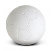 Picture of Soccer Ball Pro