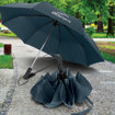 Picture of Prague Compact Umbrella